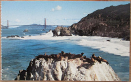 USA UNITED STATES CALIFORNIA SAN FRANCISCO BAY SEAL ROCKS CARD ANSICHTSKARTE CARTOLINA POSTCARD PC CARTE POSTALE CP - Washington DC