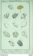 Gravure De Mode Costume Parisien 1801 N° 313 (An 9) Capotes Chapeau De Paille - Etchings