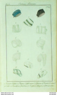 Gravure De Mode Costume Parisien 1801 N° 334 (An 10) Toquets Dent & Tulle - Radierungen