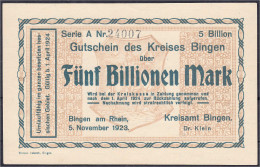 Kreisamt, 5 Bio. Mark 5.11.1923. Wz. Achteckfluß. I. Dießner. 065.7. - [11] Emissions Locales