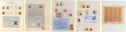 Deutsches Reich - Germania 1900/1922 **/gest.: Tolle Spezialsammlung Mit Vielen Besonderheiten, Dabei Farben, Typen, Obe - Collections