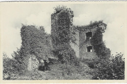 VIROINVAL-DOURBES : Ruines De Haute-Roche - Viroinval