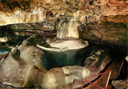 38 - La Balme Les Grottes - Grottes De La Balme - La Grande Fontaine - Spéléologie - Curiosité Géologique - Carte Neuve  - La Balme-les-Grottes