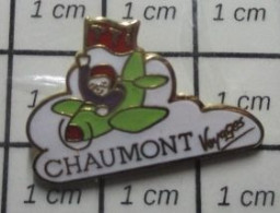 516B Pin's Pins / Beau Et Rare /  AVIATION / AVION VERT CHAUMONT VOYAGES - Avions