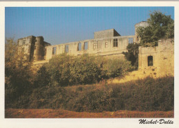 LA TOUR D'AIGUES . - Photo Yves MICHEL-DALES . Le Château - La Tour D'Aigues