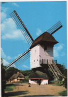 Domein Bokrijk - Standerdmolen Uit Mol-Millegem - & Windmill - Genk