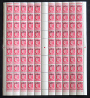 Algérie - Yvert 228 - Feuille Complète De 100 Timbres - Neuf SANS Charnière - Unused Stamps