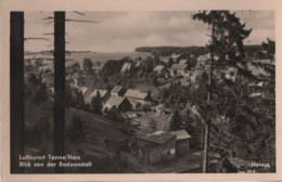 54989 - Tanne - Blick Von Der Badeanstalt - Ca. 1955 - Halberstadt