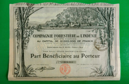 T-CFR Compagnie Forestière De L'Indénié Côte D’Ivoire1926 - Landbouw