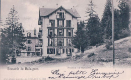 Souvenir De Ballaigues VD, Pension La Sapinière (30.9.1901) - Ballaigues