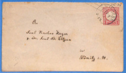 Allemagne Reich 1873 - Lettre De Wilster - G30583 - Covers & Documents