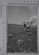 Photo Photographie :   Cueillette Des Fleurs Sauvage Au Dessus De NOTRE DAME DU PRE Savoie 1935 - Oggetti