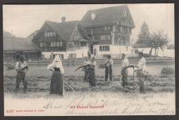 SWITZERLAND - ZUR BLEICHE APPENZELL - CARTOLINA FP SPEDITA IL 06.12.1904 TIMBRO DI APPENZELL - ST GALLEN - Appenzell