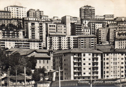 Potenza - Scorcio Panoramico - Potenza