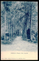 VIZELA -Vizella - Parque - Uma Avenida  ( Editor Alberto Ferreira Nº 205/3)  Carte Postale - Braga