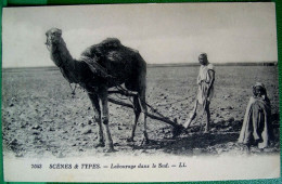 CPA  SCENES ET TYPES  LABOURAGE DANS LE SUD . CHAMEAU . HOMME . ENFANT . ATTELAGE - Afrika