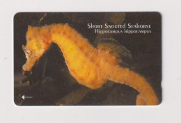 JERSEY -  Short Snouted Seahorse GPT Magnetic  Phonecard - [ 7] Jersey Y Guernsey