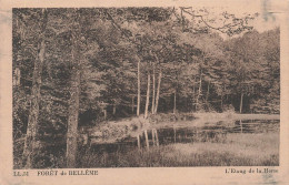 FRANCE - Forêt De Bellême - Vue Sur L'étang De La Herse - Vue Générale - Carte Postale Ancienne - Versailles