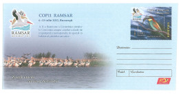 IP 2012 - 2 PELICANS From The Danube Delta, Romania - Stationery - Unused - 2012 - Pélicans