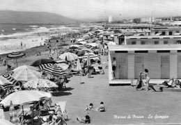 Marina Di Massa - La Spiaggia - Massa