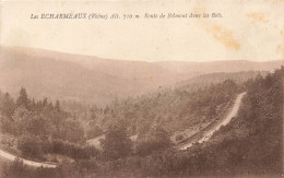 FRANCE - Les Echarmeaux (Rhône) - Alt 710 M - Route De Belmont Dans Les Bois - Carte Postale Ancienne - Villefranche-sur-Saone