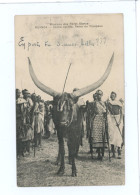 RUANDA MISSIONS DES PERES BLANCS VACHE SACREE REINE DU TROUPEAU - Ruanda- Urundi