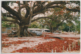 Australia QUEENSLAND QLD Homes & Beach MURRAY ISLAND TORRES STRAIT Ross Photo Postcard C1980s - Far North Queensland