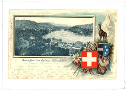 RHEINFELDEN GRAND HOTEL DES SALINES BLASON CARTE GAUFREE 1900 - Rheinfelden