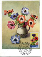 FLEUR + ANEMONES (anémone) = SAINT-MARIN 1957 = CARTE MAXIMUM + N° Yvert  436 - Andere & Zonder Classificatie