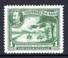 British Guiana 1934-51 KGV Pictorials - 1c Ploughing A Rice Field HM (SG 288) - Brits-Guiana (...-1966)