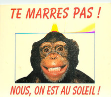 Animaux - Singes - Chimpanzé - Carte à Message - CPM - Voir Scans Recto-Verso - Singes