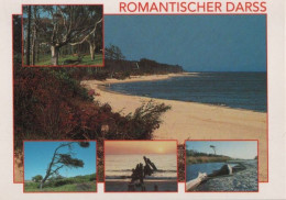 90485 - Darss - Mit 5 Bildern - 1993 - Fischland/Darss