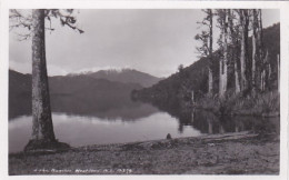 4800143Lake Kanier. (photo Card) - Nouvelle-Zélande