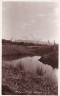 4800144Mount Egmont. (photo Card) - Nouvelle-Zélande