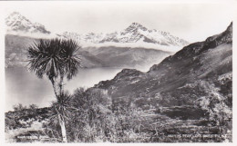 4800153Walters Peak, Lake Wakatipu. (photo Card) - Nouvelle-Zélande