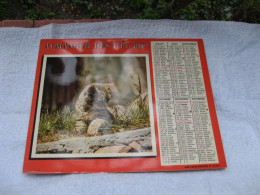 Almanach Des Ptt , Calendrier 1972 , Chat. CHIOT BERGER ( Region Parisienne) - Grand Format : 1961-70