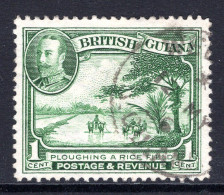 British Guiana 1934-51 KGV Pictorials - 1c Ploughing A Rice Field Used (SG 288) - Guyana Britannica (...-1966)