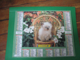 Almanach Du Facteur, Calendrier 1996 , Chaton. Lapins ( Ile De France) - Groot Formaat: 1991-00