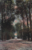 48127Zeist, Laan Van Bek En Royen. – 1910.  - Zeist