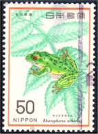 526 Japon Grenouille Frog (JAP-397) - Frösche