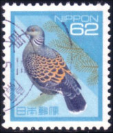 526 Japon Pigeon Tourterelle Pidgeon (JAP-362) - Tauben & Flughühner