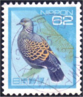 526 Japon Pigeon Tourterelle Pidgeon (JAP-361) - Pigeons & Columbiformes