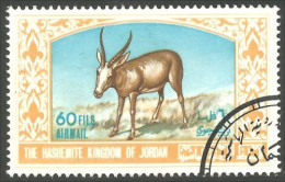 530 Jordan Gazelle (JOR-65) - Jordan