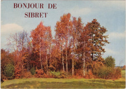 Bonjour De Sibret - Vaux-sur-Sûre