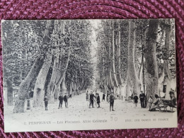 Perpignan , Allée Centrale , Les Platanes - Perpignan