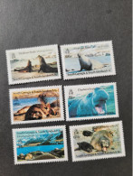 South Georgia 1991 Sea Elephants - Other & Unclassified