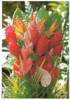 Antilles - Anthuriums - Roses De Porcelaine - CPM - Voir Scans Recto-Verso - Other & Unclassified