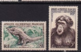 AOF MNH ** 1955 Faune - Nuovi