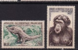AOF MNH ** 1955 Faune - Unused Stamps