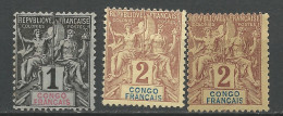 CONGO  N° 12 Et 13 NEUF(*) Sans Gom / No Gum - Ungebraucht